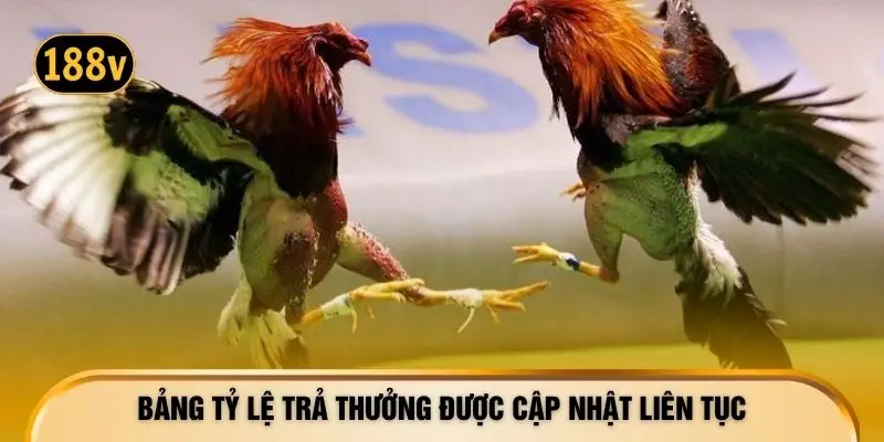 Bảng tỷ lệ trả thưởng được cập nhật liên tục