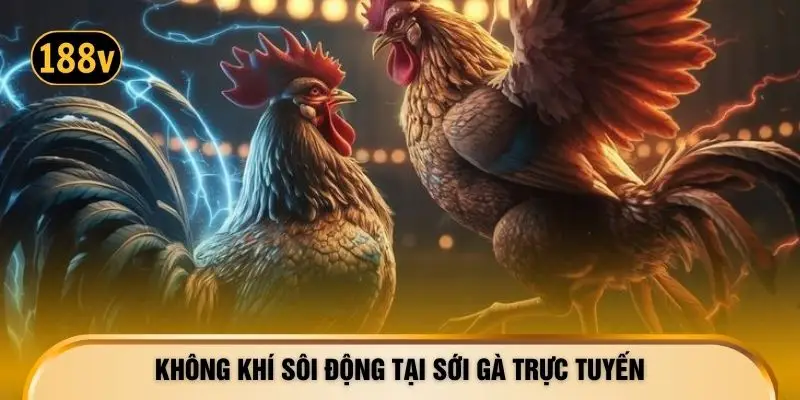 Không khí sôi động tại sới kê trực tuyến