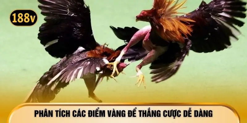 Phân tích các điểm vàng để thắng cược dễ dàng